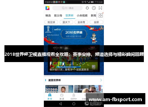2018世界杯卫视直播观看全攻略：赛事安排、频道选择与精彩瞬间回顾