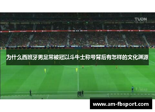 为什么西班牙男足常被冠以斗牛士称号背后有怎样的文化渊源