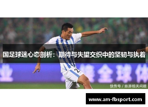国足球迷心态剖析：期待与失望交织中的坚韧与执着