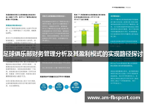 足球俱乐部财务管理分析及其盈利模式的实现路径探讨 足球俱乐部财务管理分析及其盈利模式的实现路径探讨