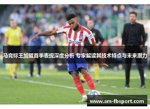 马竞标王加盟首季表现深度分析 专家解读其技术特点与未来潜力