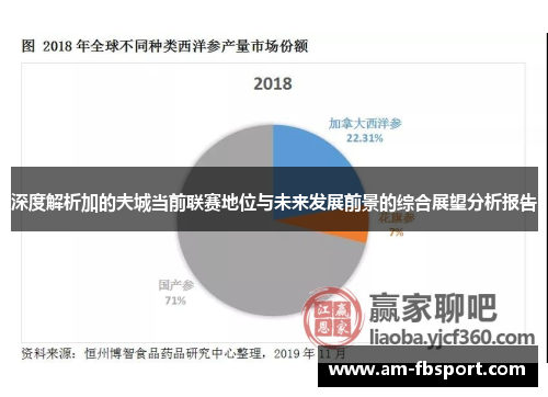 深度解析加的夫城当前联赛地位与未来发展前景的综合展望分析报告