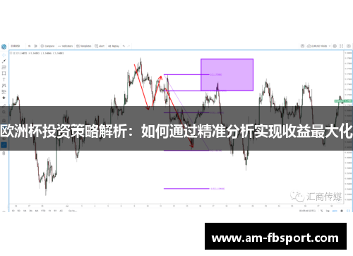 欧洲杯投资策略解析：如何通过精准分析实现收益最大化