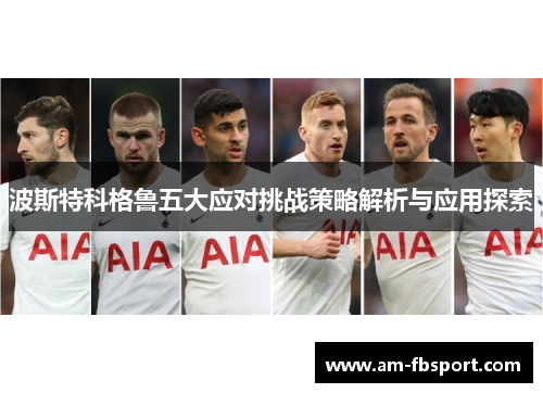 波斯特科格鲁五大应对挑战策略解析与应用探索