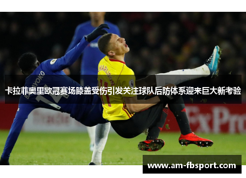卡拉菲奥里欧冠赛场膝盖受伤引发关注球队后防体系迎来巨大新考验 卡拉菲奥里欧冠赛场膝盖受伤引发关注球队后防体系迎来巨大新考验