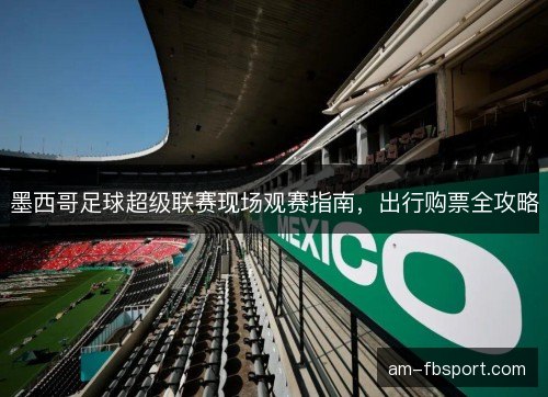 墨西哥足球超级联赛现场观赛指南，出行购票全攻略
